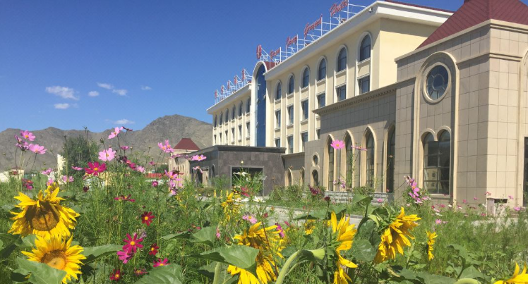 N(yn)ɿк(zhn)h(yun)Ƶ