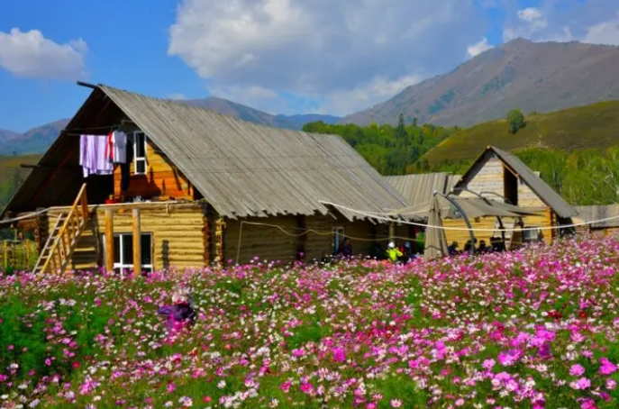 捕獲.PNG 捕獲.PNG