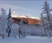 �����ձ��������{˹��ѩ�� ��ľ��ѩ ِ��ľ���{(l��n)��