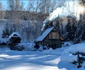 ����ѩ������ِ��ľ���{(l��n)���� ���{˹����ľ����ɽ�Ӵ�{�ȣ���܊ɽ��ѩ��