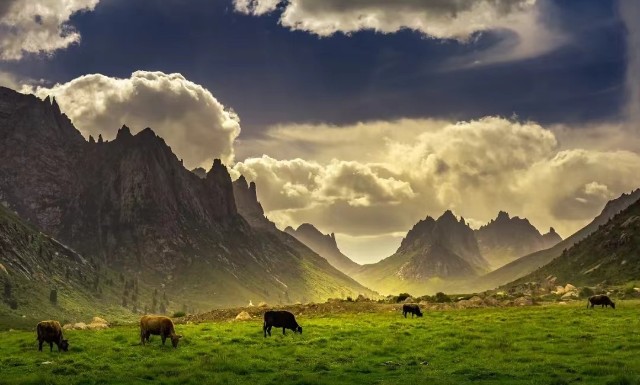 ɫϡʼؾǴwغɏ~tľSӭh(hun)(xin)