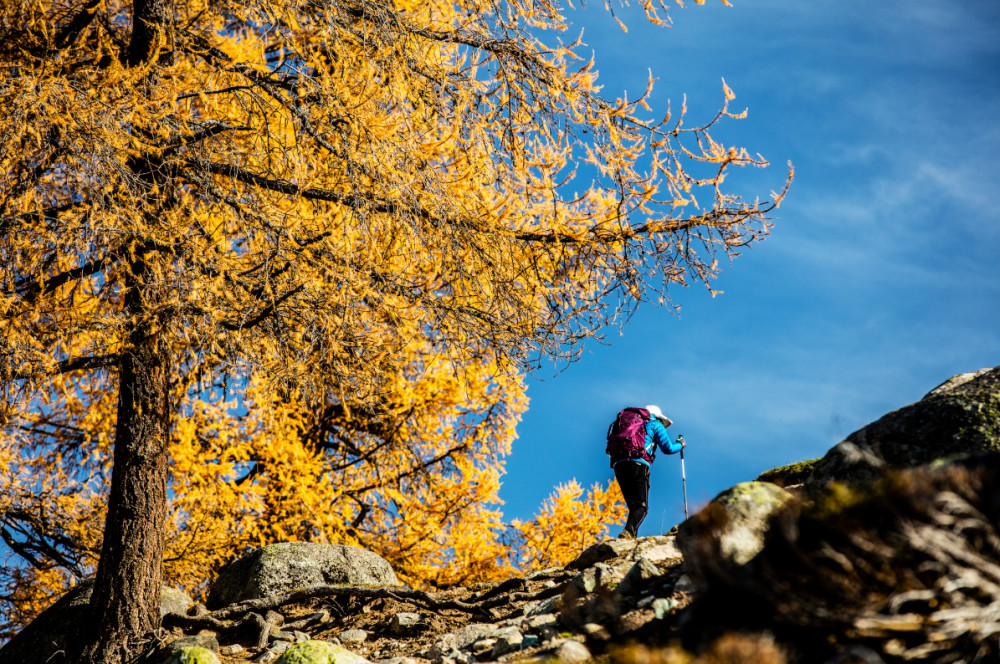 【野奢戶外】最美的秋色-阿爾泰山徒步（新疆喀納斯）